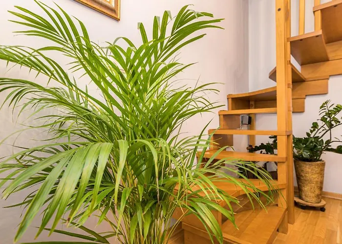 Apartamento Maya's Flats & - Old Town Dluga 72 Maisonette