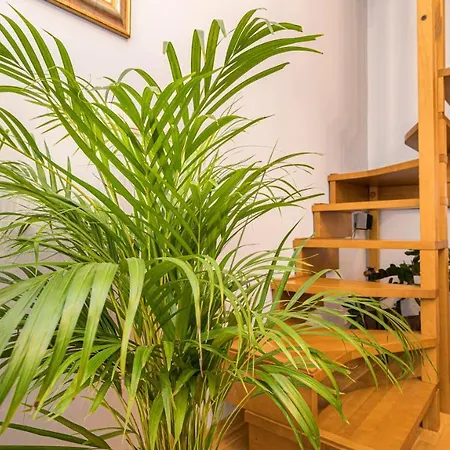 Apartmán Maya's Flats & - Old Town Dluga 72 Maisonette